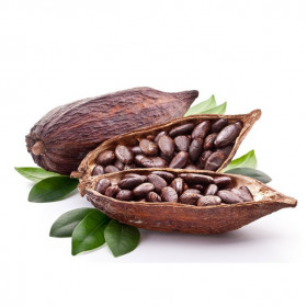 ᐈ Нерафіноване какао терте (боби) - купити за приємною ціною в Україні | Інтернет-магазин Zulfiya