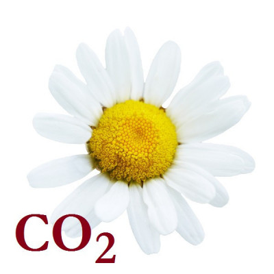 СО2-экстракт ромашки