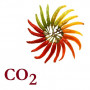 СО2-екстракт паприки