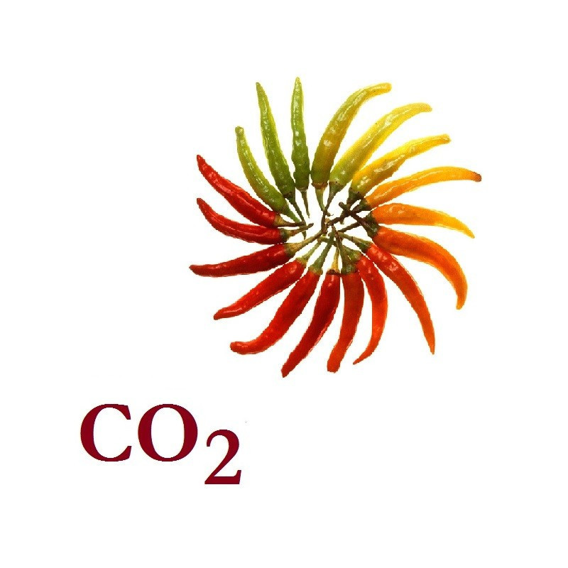 СО2-экстракт паприки