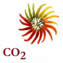 СО2 Экстракт паприки | Интернет-магазин Zulfiya