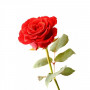 Аюрведична пудра троянди