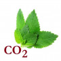 СО2-екстракт меліси