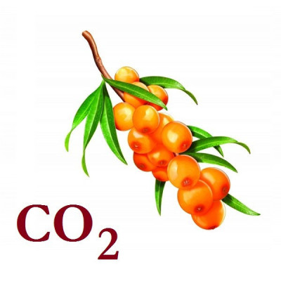 СО2-екстракт обліпихи