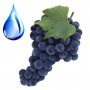 ᐈ Водорозчинна олія виноградної кісточки - купити за приємною ціною в Україні | Інтернет-магазин Zulfiya