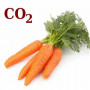 СО2-екстракт моркви