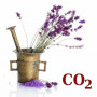 СО2-экстракт лаванды