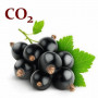 СО2-екстракт смородини 