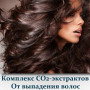 Комплекс СО2-экстрактов От выпадения волос