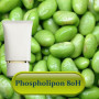Соемульгатор Phospholipon 80H (для ліпосомних систем)