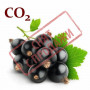 СО2-екстракт смородини 