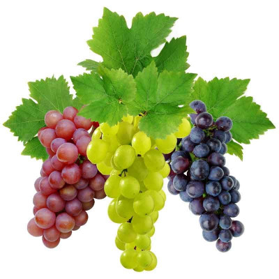 Винограда гидролат