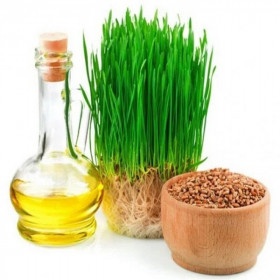 ᐈ Рафінована олія зародків пшениці - купити за приємною ціною в Україні | Інтернет-магазин Zulfiya