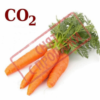 СНЯТ С ПРОДАЖИ СО2-экстракт моркови