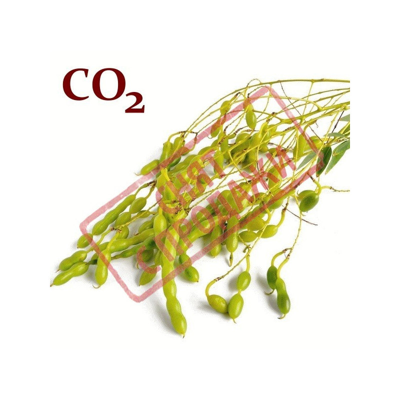 СО2-экстракт софоры