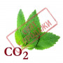 СО2-екстракт меліси
