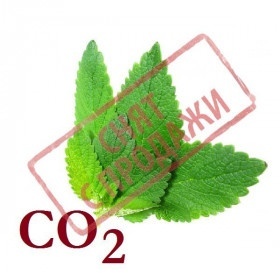 СО2-экстракт мелиссы