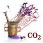 СО2-экстракт лаванды
