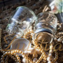 ᐈ ЗНЯТО З ПРОДАЖУ Баночка 50 мл скляна - купити за приємною ціною в Україні | Інтернет-магазин Zulfiya