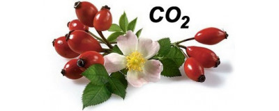 СО2 екстракти, купити CO2 екстракт в Україні